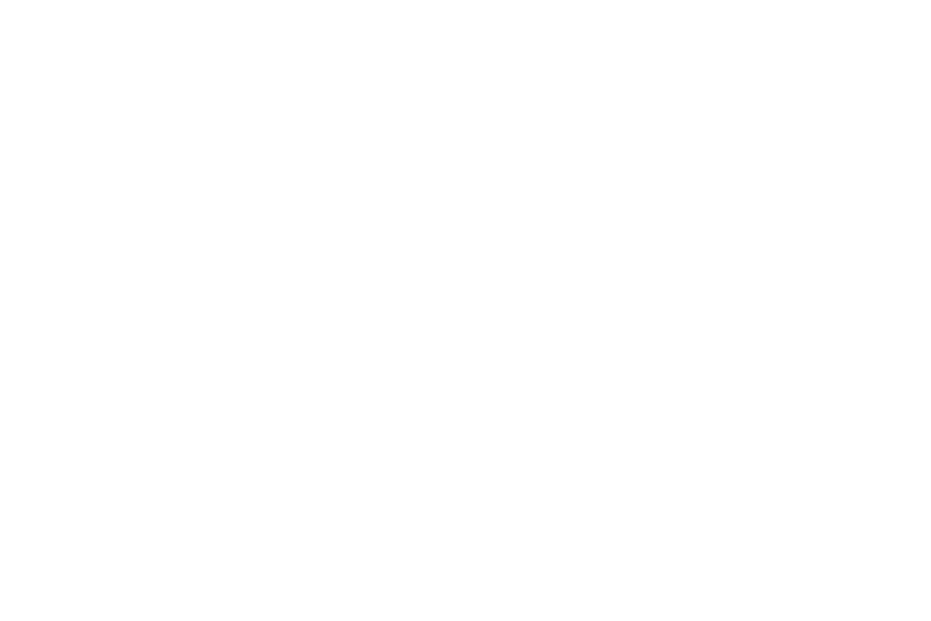 FlyChiemgau Logo